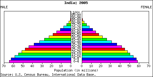 Population pyramid for India year 2005