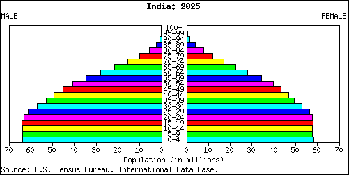Population pyramid for India year 2025